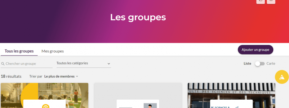 Les Groupes du Réseau Alumni