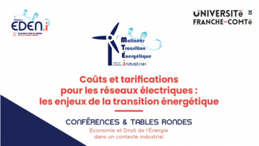 Vendredi 22 Novembre : Conférences EDENI sur les réseaux électriques et leurs enjeux.