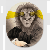 profile photo of a member